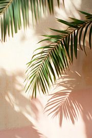 Gentle shadows of palm leaves by Poster Art Shop