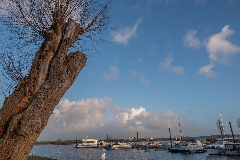 Haven Loswal by Moetwil en van Dijk - Fotografie