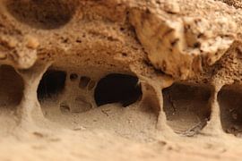 Little Cave sur Bart Vancamp