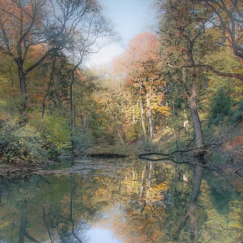 FOREST POND IN AUTUMN by Algon Photography