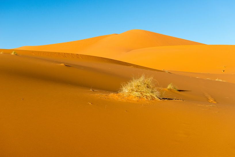 Erg Chebbi by Johan van Veelen