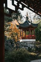 Asiatische Herbstszene