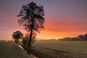 Ochtendrood geeft....