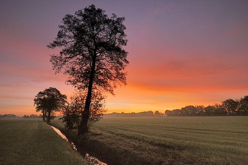 Ochtendrood geeft....