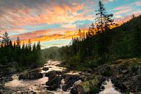 Norwegisches Morgenrot