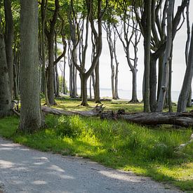 Bossen en weiden van Ralf Hickmann