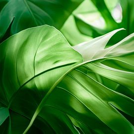 Green leaves by Poster Art Shop