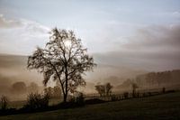 Der Einsame