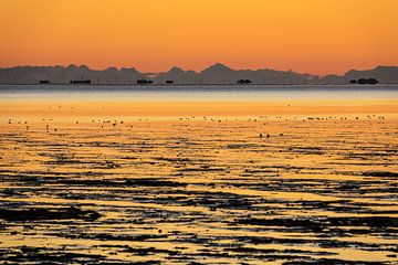 Sonnenaufgang am Wattenmeer auf der Insel Amrum von Rico Ködder