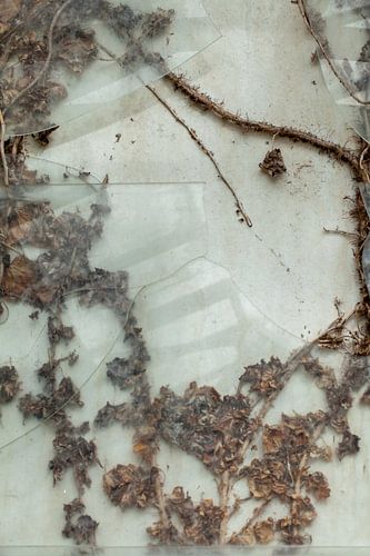 Urbex window 2 of 3 - brown