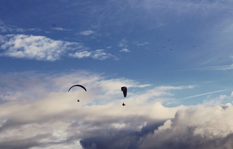 Volant par Bianca Massaar