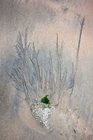 Zand 106