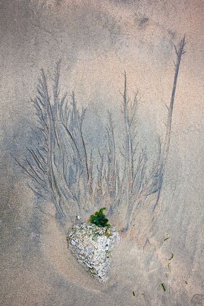 Zand 106 van Willy Lippens