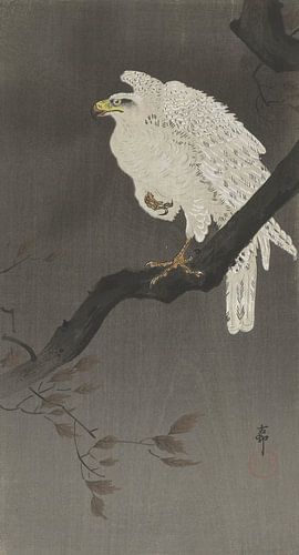 Sneeuwarend op een boomtak, Ohara Koson