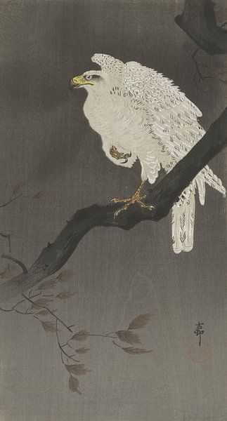 Aigle des neiges sur une branche d'arbre, Ohara Koson par Creative Masters Old Masters