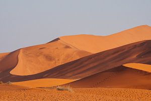 Zandduinen in de Sossusvlei bij zonsondergang, Namibië van Suzanne Spijkers