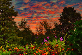 Sunrise on the balcony