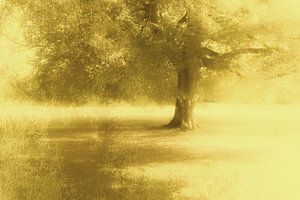 Gouden boom