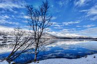 Paysage d'hiver fjord norvège par x imageditor Aperçu