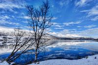 Winter landscape fjord Norway