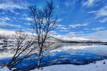 Winterlandschap fjord Noorwegen van x imageditor