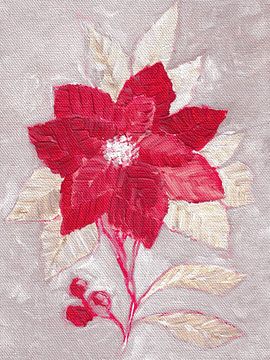 Poinsettia