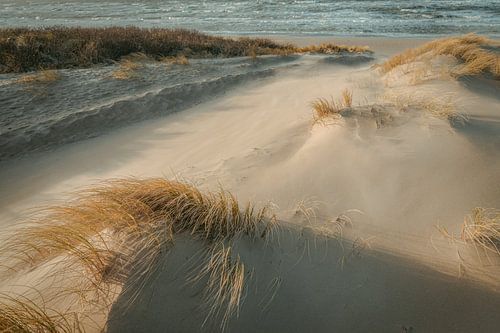 Duin, strand en zee aan de Hollandse kust