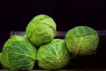 Kale against dark background by Ulrike Leone
