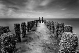 Palenrij ZW-W von Pieter limbeek
