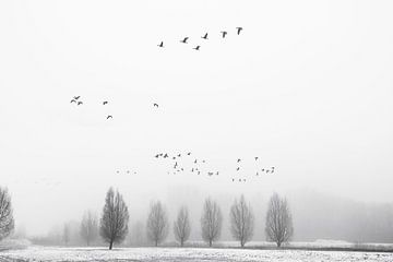 Winterflug von Richard Gouw