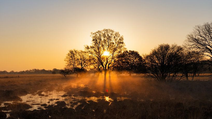 Zon en mist van Anneke Hooijer