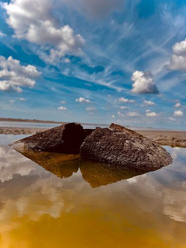 Torf im Wattenmeer bei Moddergat