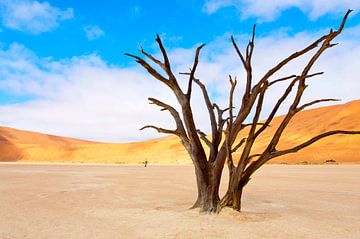 Kunst in de woestijn van Aisja Aalbers