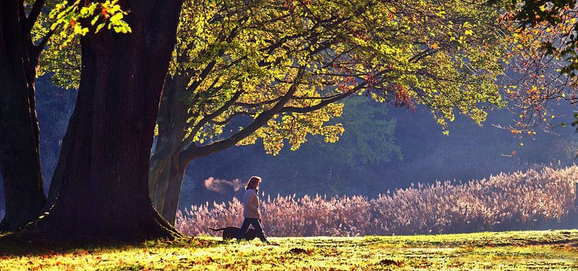 Promenade par un matin d'automne par Edgar Schermaul