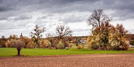 L'automne dans la vallée de la Geul