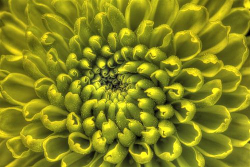 Fluorescente spiraal