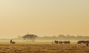 Landwirt auf dem Weg zu seinen Kühen