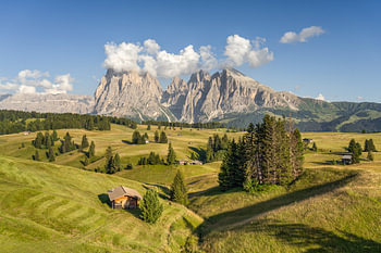 L'été sur l'Alpe di Siusi dans le Tyrol du Sud