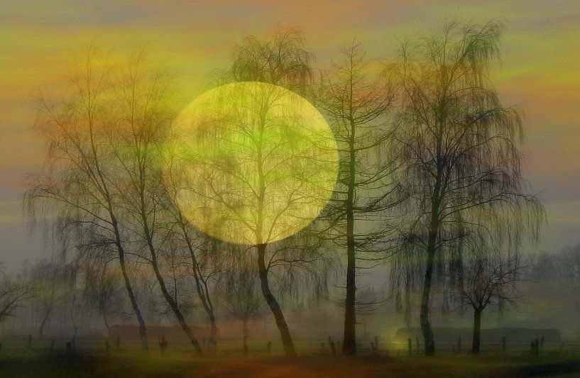Maanlicht van Vera Laake