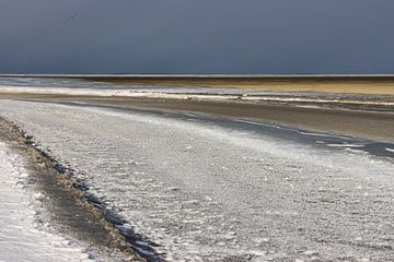Mer des Wadden gelée près de Zwarte Haan
