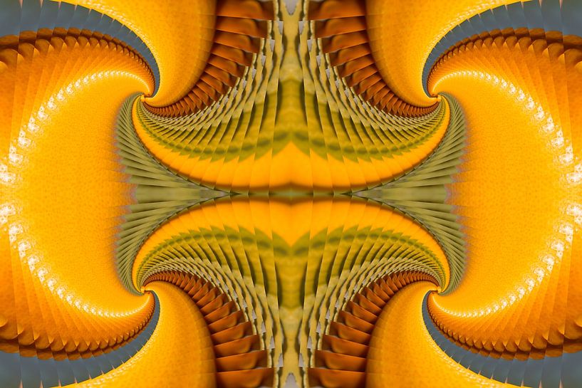 Sierlijke abstracte oranje gele vormen van Peter Schütte