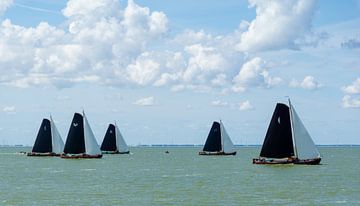Skûtsje sailing IJsselmeer by Henk Alblas