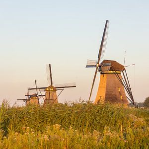 Vier molens achter elkaar