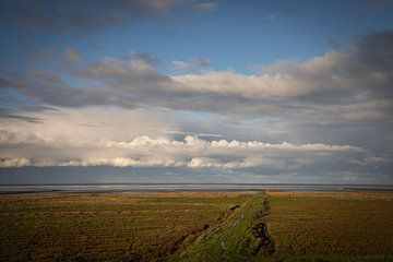 Paysage de marais salants sur la côte des Wadden de Groningue sur Bo Scheeringa Photography