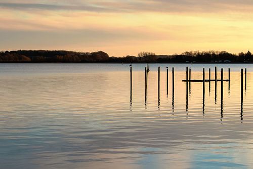 SCHLESWIG Schlei - stil water