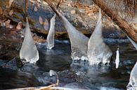 Rivière de glace par Cornelis (Cees) Cornelissen Aperçu