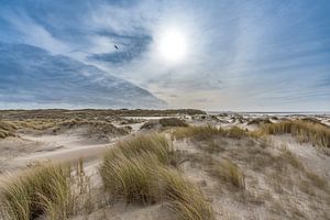 De Hors Texel kurz vor dem Sturm Eunice