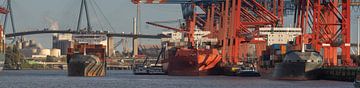 Panorama of a container terminal in the port of Hamburg in sunny weather by Jonas Weinitschke