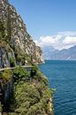 Lakeshore Road bij het Gardameer van t.ART thumbnail