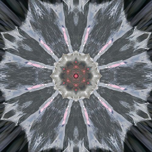 Abstract flower pattern mandala